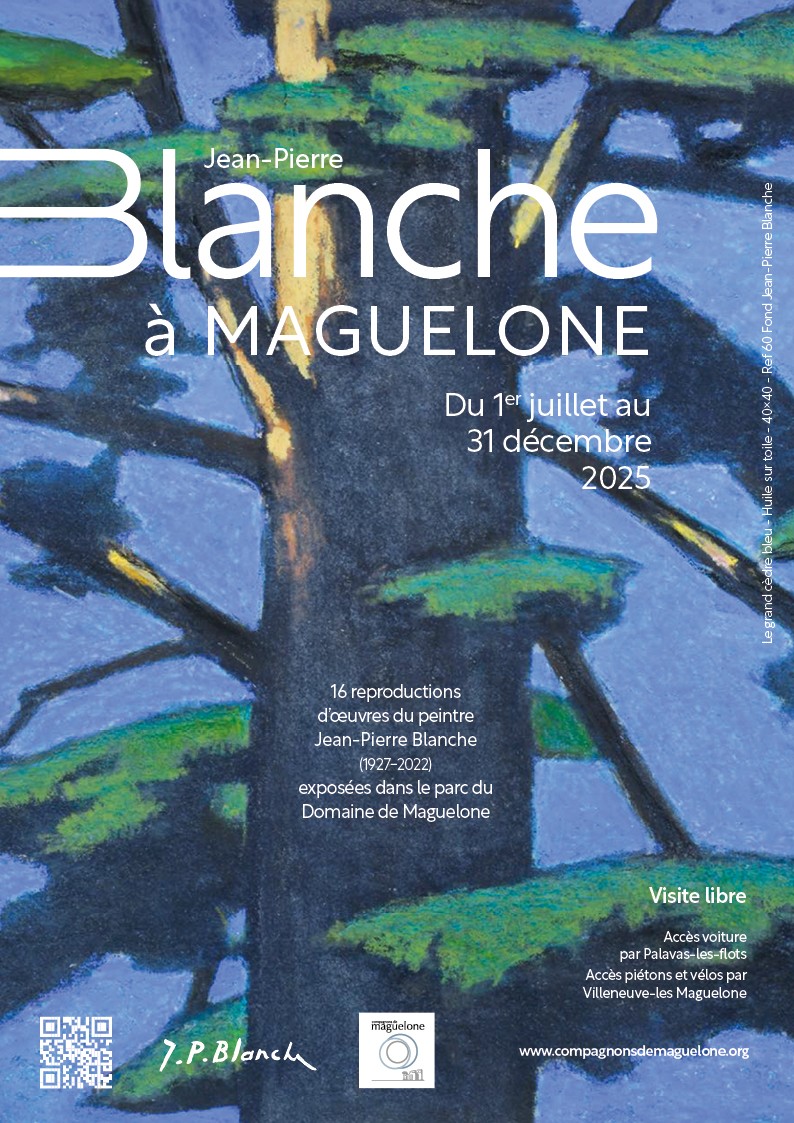 exposition montpellier