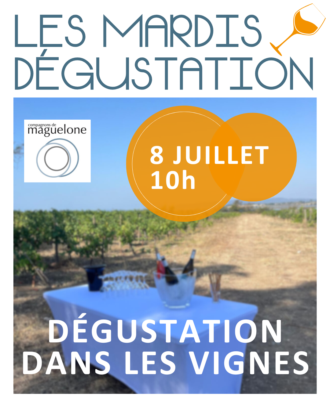 dégustation de vin montpellier