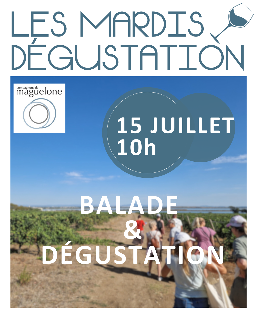 dégustation de vin montpellier