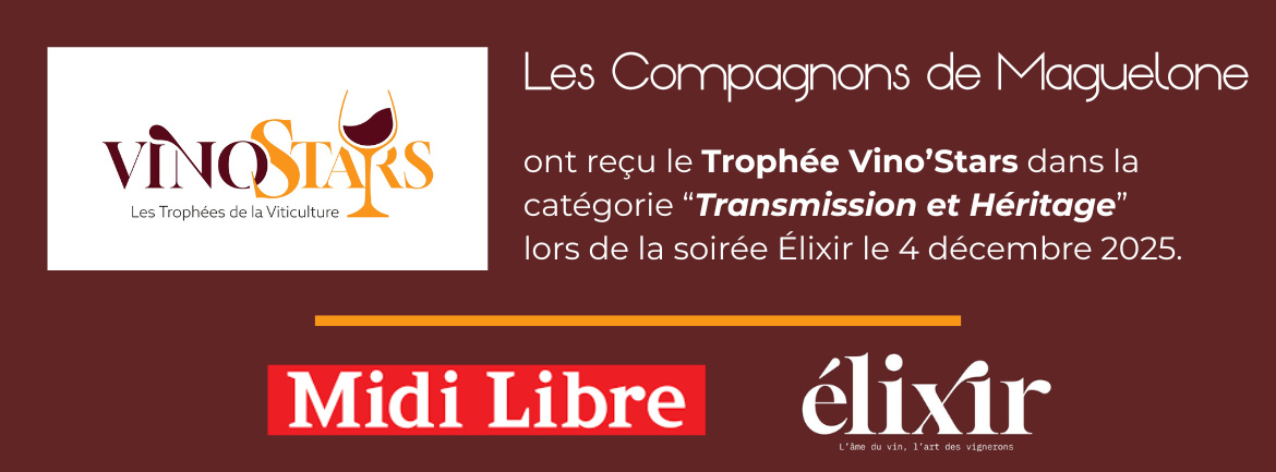 VINOSTAR ELIXIR TROPHEE